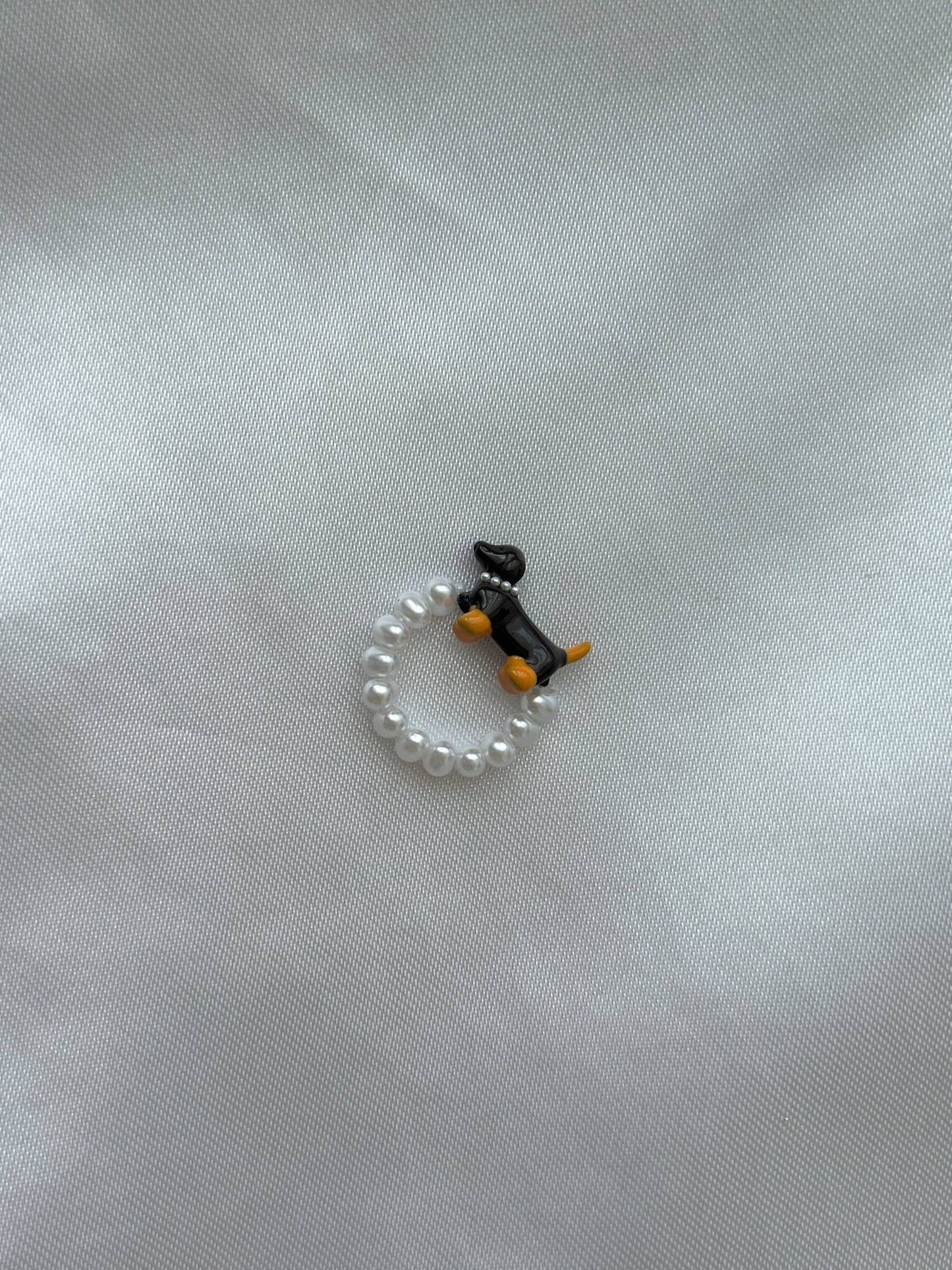 Dackel Ring auf weißem Hintergrund